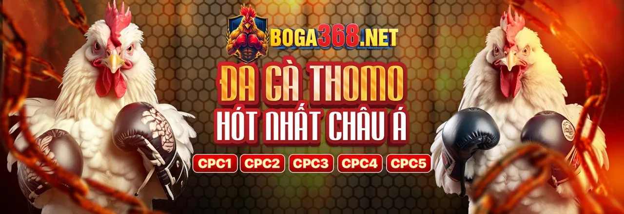 Blog HL88 App - Nơi chia sẻ kiến thức và mẹo cá cược đỉnh cao